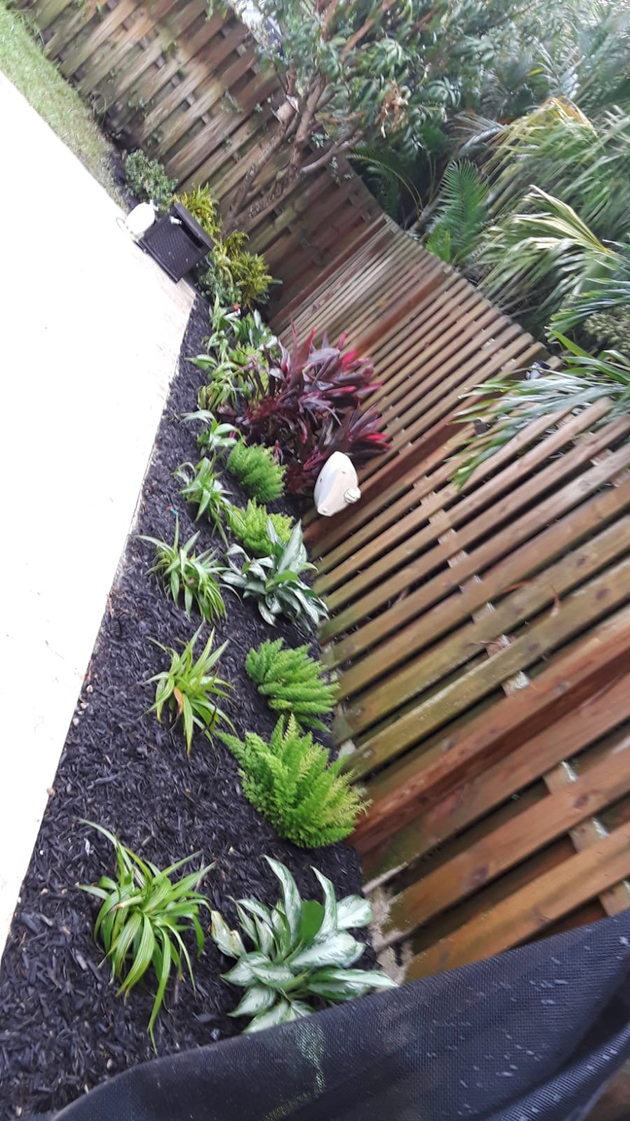 PASCUAL LANDSCAPE Image